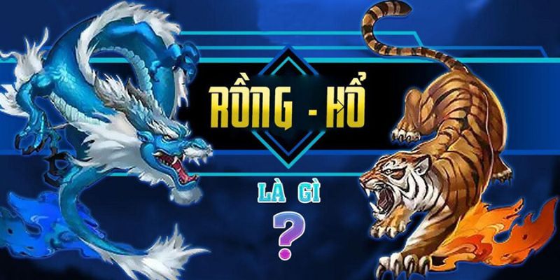 Bài Rồng Hổ Online: Giải mã sức hút và luật chơi cơ bản cho người mới bắt đầu