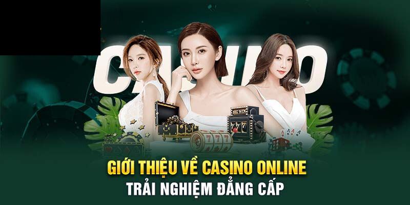 8Day Casino Có Uy Tín Không? Phân Tích Bằng Chứng, Đánh Giá Rủi Ro